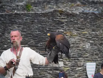 Birds of prey show at Chateau de La Roche-en-Ardenne (Belgium)